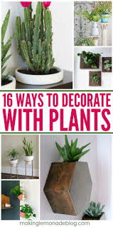 Indoor plant stand decor ideas. 16 Interesting Ways To Decorate With Plants Making Lemonade