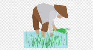 Apakah anda mencari gambar desain karakter kartun petani template psd atau file vektor? Bauer Beruf Riesiger Hypermarkt Sungai Petani Und Ein Animaatio Apa Png Pngwing