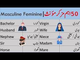 Masculine And Feminine With Urdu Meanings Download Pdf Free English Vocabulary Words English Words Vocabulary Words