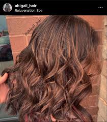 Copper peptides touch on a bunch of recent discoveries in hair loss research. Copper Hair Tone Copper Highlights Hair Beauty Hair Color Highlights Brunette Balayage Hair