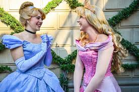 Cinderella And Aurora Disney Princess Dresses Disney Nerd Disneyland Face Characters