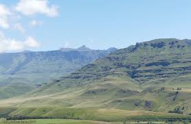 Image result for Sopubia angolensis