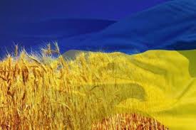 Україна — четверта країна за величиною на європейському континенті після росії, туреччини та данії, та найбільша країна, територія якої повністю лежить в європі. Ukrayina V Roki Nezalezhnosti Onlajn Test Na Urok