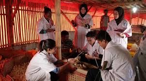 Fakultas Peternakan - Universitas PGRI Kanjuruhan Malang