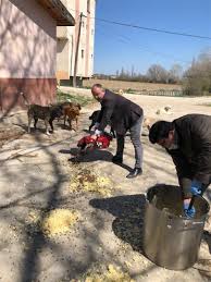 Taskopru Ilcesinde Sokak Hayvanlari Unutulmadi