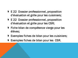 E 22 Sous Epreuve Du Dossier Professionnel Ppt Telecharger