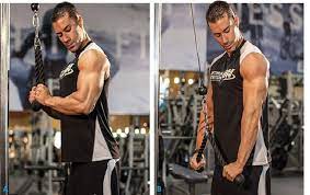 See more ideas about workout, fitness body, workout routine. 7 Things All Amateur Gym Goers Should Know Such Tv