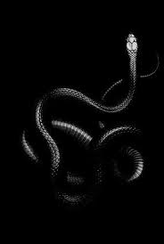 صور خلفيات سوداء hd عالية الجودة بفبوف shades of black black aesthetic dark aesthetic
