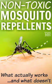 Remembering that sometimes it's grey these are the considerations the mod team use when they feel it is appropriate to remove posts. Home Mosquito Trap Protect Your Family Without Poison The Soccer Mom Blog