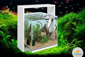 These are some of our most popular animal, but there are many more creatures. Aquarieneinrichtung Mit Zen Love Ferplast