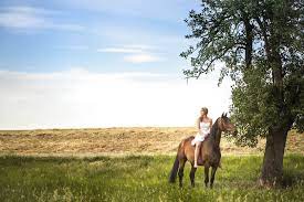 portraitfotos mit pferd mit lovisa simona und solero in weinheim hei tiki pferde fotografie pferdefotos pferdefotografie