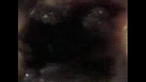 Kumpulbagi rupanya masuk dalam daftar situs video terlarang berikutnya yang diblokir pemerintah karena konten bajakannya yang melanggar hukum nih, geng. Situs Nonton Film Semi Gratis Watch Insta Porn Videos For Free