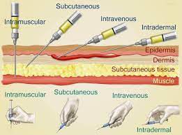 Injections For Llamas