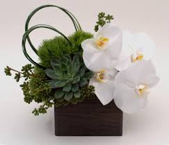 Maybe you would like to learn more about one of these? Boxed Serenity In Santa Fe Springs Ca Le Fleur Floral Couture