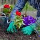 Ask a Master Gardener