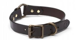 Leather Dog Collar L Filson Olive Filson Leather Leather Collar Leather Dog Collars