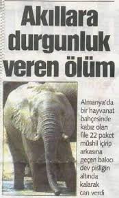 Boyle Olum Dusman Basina 2020 Hayvanat Bahceleri Komik Olum