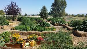 The way we fill our raised beds for cheap makes full use of organic matter as it massively reduces the amount of topsoil we need and overtime makes a lovely rich humus for our plants to grow. Build Your Raised Beds Kick Your Garden Into Gear