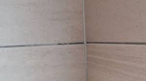 The contractor swears that there is no way that the grout stained the stone and that the grout is just making the what you're probably seeing is the moisture from grouting. Efflorescence On Tile Grouts Weber Uk
