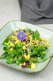 Wildkrautersalat Mit Sprossen Mango Macadamia Dressing Basische Rezepte Rezept In 2020 Rezepte Basenfasten Rezepte Einfache Gerichte