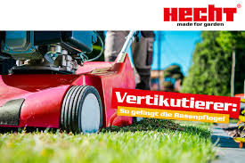 Der rasen ist nicht wirklich grün, hat eventuell auch schaden genommen. Rasen Vertikutieren So Geht Die Rasenpflege Hecht Garten