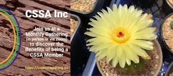 Cactus flower lapel pin badge. Cactus And Succulent Society Of Australia Posts Facebook
