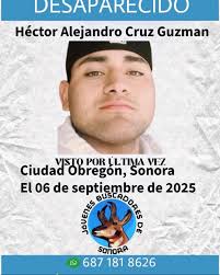 Hector Obregon Desaparece