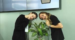 Bring home some character, big or small, with our plants and pots. This Ikea Plant Experiment Proves That Bullying Is Bad For Everyone Even Plants Hellogiggles