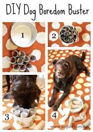 Deciding to make your own dog food at home brings excitement and challenge at the same time. Pin By Caitlin Ullbricht On Puppies Dog Boredom Interactive Dog Toys Dog Boredom Buster