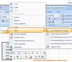 Cara Mengurutkan Data Terkecil Ke Besar Dan A Ke Z Sebaliknya Di Microsoft Excel Belajar Komputer Mu