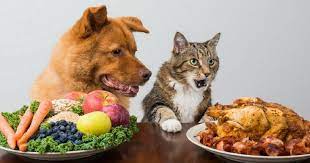 Below are six thanksgiving foods bad for cats and dogs. Thanksgiving Pet Safety Asi Food Safety