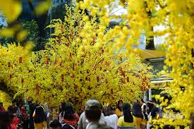 Người mang tuổi này thường điềm tĩnh và rất kiên định nhưng rất bướng bỉnh. Duoxu5evyam63m