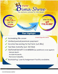 The payout availed in a term plan with critical illness can be used to cover any of the costs, from medical expenses to doctor visits to. Lic New Plan Bima Shree Plan No 848 Lic Insurance Plan Info 2021