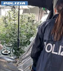 Trend Google: polizia di stato questura catania