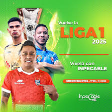 Inpecable Internet Fibra Óptica