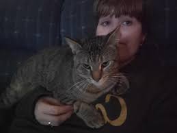 Anyone else have ridiculously clingy cats? This is Rocket. I'm currently  house sitting at my parents and I'm 33 weeks pregnant. He's definitely one  for attention, but ever since I've been pregnant,