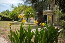 Does olive garden hire at 16. Olive Garden In Kavos Greece 20 Reviews Price From 21 Planet Of Hotels