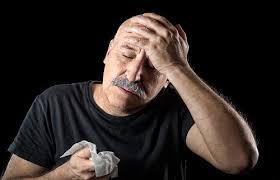 How do dogs get pneumonia? Pneumonia Vs Lung Cancer Symptoms In Dogs Kennel Cough Infection In Dogs The Vet Will Look