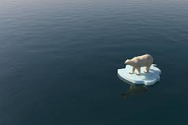 Climate change is affecting every country on every continent. 8 Climate Change Facts And Myths Global Climate Concerns