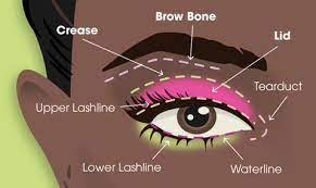 For beginners learning how to apply eyeshadows, dv recommends that you leave a bigger gap between your eyeshadow and your eyebrows. How To Apply Eyeshadow Tips Tricks Or Eye Shadow Beautyblender