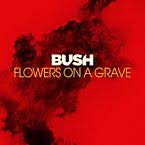 We did not find results for: Flowers On A Grave By Bush Songfacts