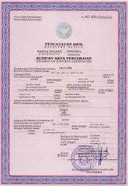 Tujuannya tentu saja untuk proses perceraian. 8 Contoh Surat Pernyataan Cerai Terlengkap Perceraian Akta Kelahiran Pendidikan