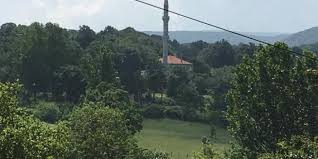 Posta pulu sinop ili, erfelek ilçesi, köyler semtine bağlı, selbeyi köyü posta kodu aşağıdaki gibidir. Erfelek Selbeyi Koyu