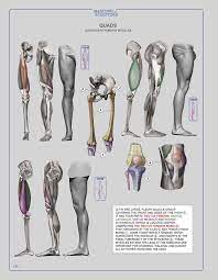 Bones, muscles, and joints (grades 3 ….pdf. Anatomy Pictures Muscles And Bones Pdf Downloads Anatomy Of The Moving Body A Basic Course In Bones Muscles And Joints Second Edition Pages 1 50 Flip Pdf Download Fliphtml5 The