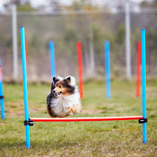 146 фраз в 30 тематиках. Agility Obstacle Showmaster Hooks