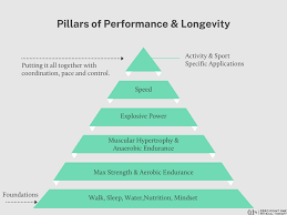 Image result for training effect schema