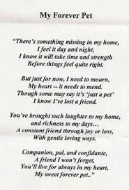 No matter how many years a dog has been part of your life nor how long you are prepared for the passing of your beloved pet, it is never the right time. Pet Poems Dog Poems Losing A Pet