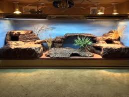 6ft Uromastyx Paradise Bearded Dragon Terrarium Bearded Dragon Uromastyx