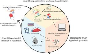 When you visit our website, we store cookies on your browser to collect information. Frontiers Key Technologies For Progressing Discovery Of Microbiome Based Medicines Microbiology