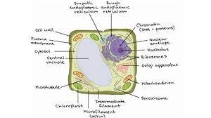 Maybe you would like to learn more about one of these? 9w T5k4xtpajtm
